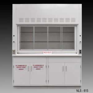 6' Fisher American Chemical Laboratory Fume Hood with Flammable and General Storage Cabinets NLS-615 GR