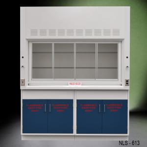 6' Fisher American Chemical Laboratory Fume Hood with Flammable Storage Cabinets NLS-613