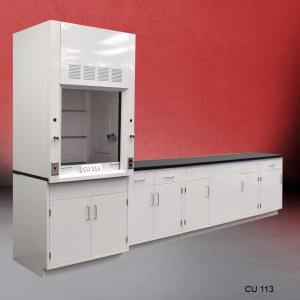 3′ Fisher American Fume Hood with General Storage & 10′ Laboratory Cabinet Group