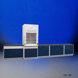 3′ Fisher American Fume Hood with Flammable Storage & 14′ Laboratory Cabinet Group