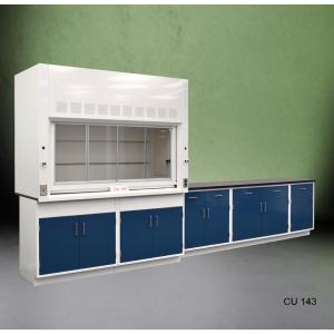 6′ Fisher American Fume Hood with General Storage Cabinets & 9′ Laboratory Cabinet Group