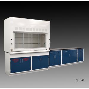 6′ Fisher American Fume Hood with Flammable & General Storage & 9′ Laboratory Cabinet Group