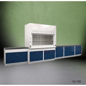 6′ Fisher American Fume Hood with ACID & General Storage and 14′ Laboratory Cabinets
