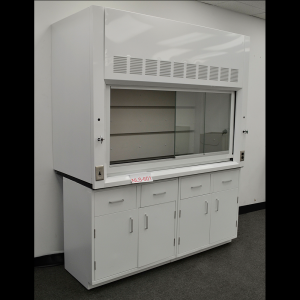 6' Chemical Fume Hood (NLS-602 PB)