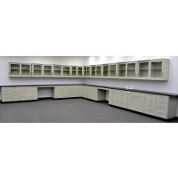 38' Base & 34' Wall Laboratory Cabinets w/ Base Counter Tops (CV OPEN 2)
