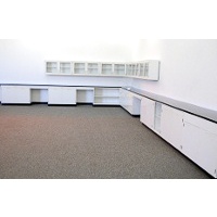 43' FISHER LAB CABINETS & CASEWORK W/GLASS WALL UNITS